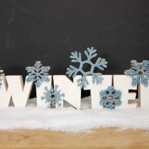 FEINSCHNITTkreativ 25 25-titel-01-winterfrost-schriftzug-deko-laubsaege-dekupiersaege-vorlage