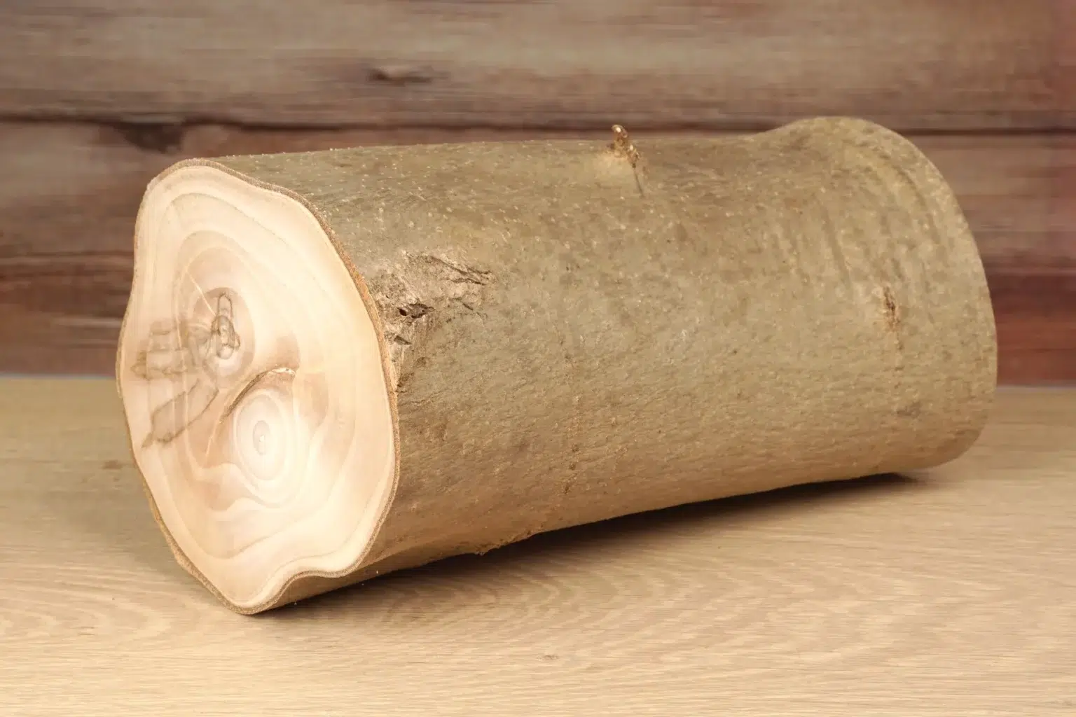 28-01-luftschloesser-aus-holz-deko-laubsaege-bandsaege-vorlage-holzscheit-aussuchen-trockenes-brennholz