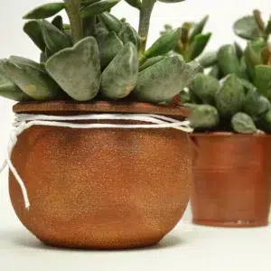 viva-rusty-patina-anwendung-oxid-blumentopf