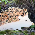 24-titel-igel-mit-zirbenlocken-deko-laubsaege-dekupiersaege-vorlage