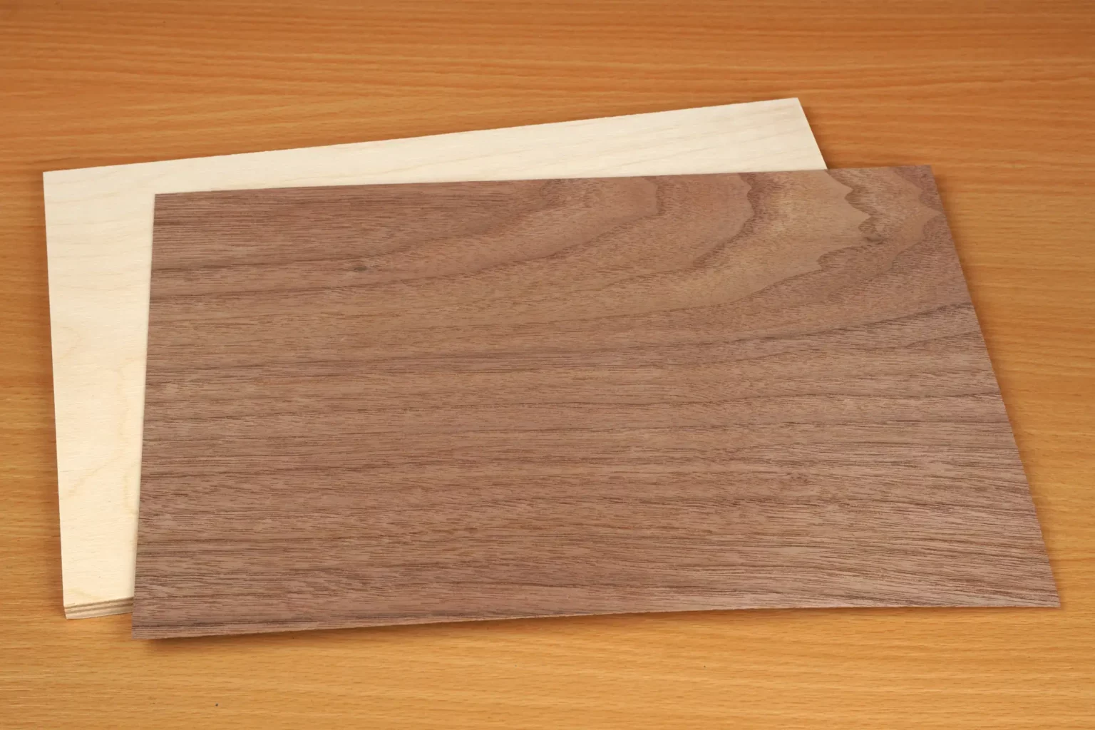 20-01-insektenkunde-deko-laubsaege-dekupiersaege-vorlage-sperrholz-furnierpapier-bereitlegen