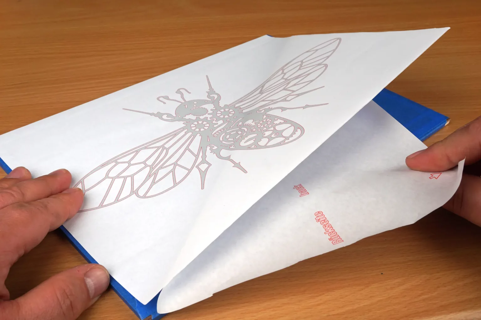 20-04-insektenkunde-deko-laubsaege-dekupiersaege-vorlage-drucken-vorlagenpapier-selbstklebend-aufkleben