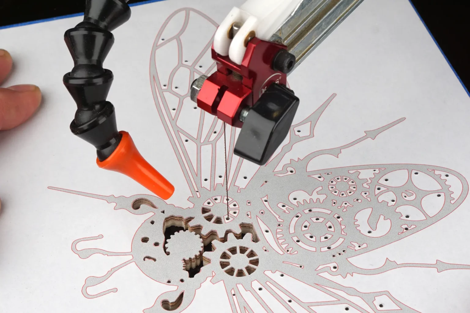 20-06-insektenkunde-deko-laubsaege-dekupiersaege-vorlage-innenschnitte-benachbarte-felder-saegen