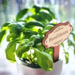 kraeuterstecker-set-1-garten-diy-digitale-laubsaegevorlage-feinschnittkreativ-anwendung-basilikum