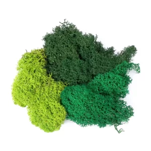 naturmaterialien-islandmoos-3-versionen