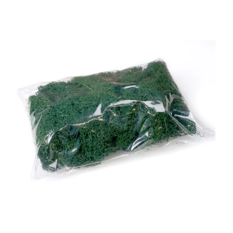 naturmaterialien-islandmoos-altgruen-beutel