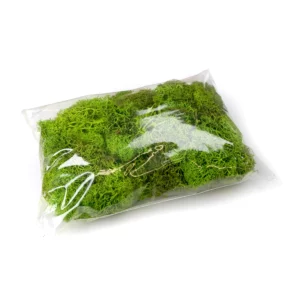 naturmaterialien-islandmoos-apfelgruen-beutel