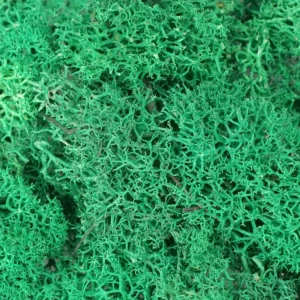 naturmaterialien-islandmoos-waldmeister-beutel-detail