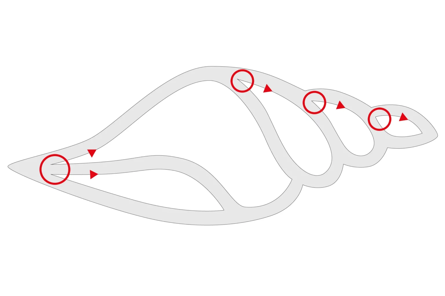 11-05-muschelschale-deko-laubsaege-dekupiersaege-vorlage-saegelinie-innenschnitte