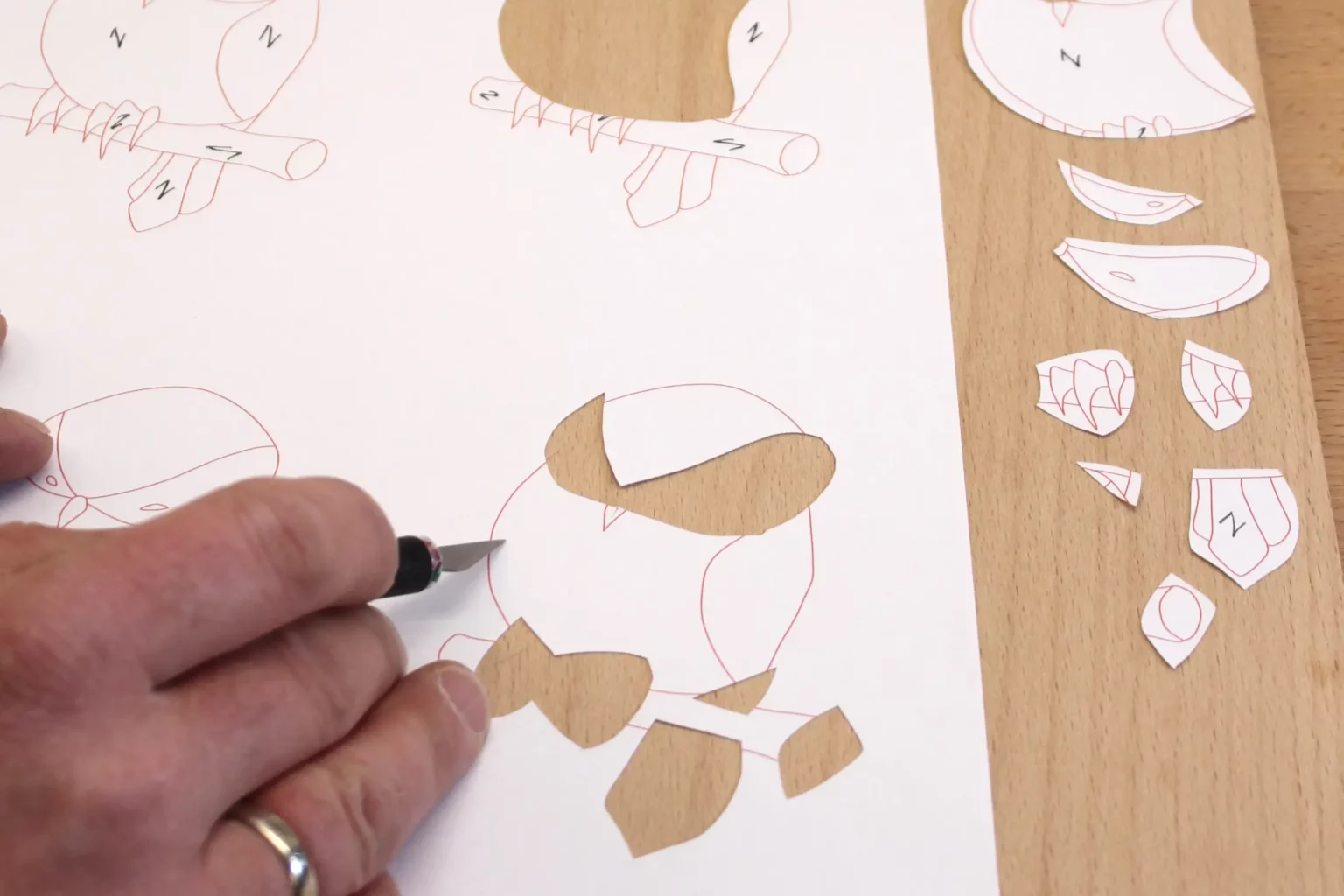 10-02-kleiner-mueder-vogel-intarsie-laubsaege-dekupiersaege-vorlage-einzelteile-mit-zugabe-ausschneiden