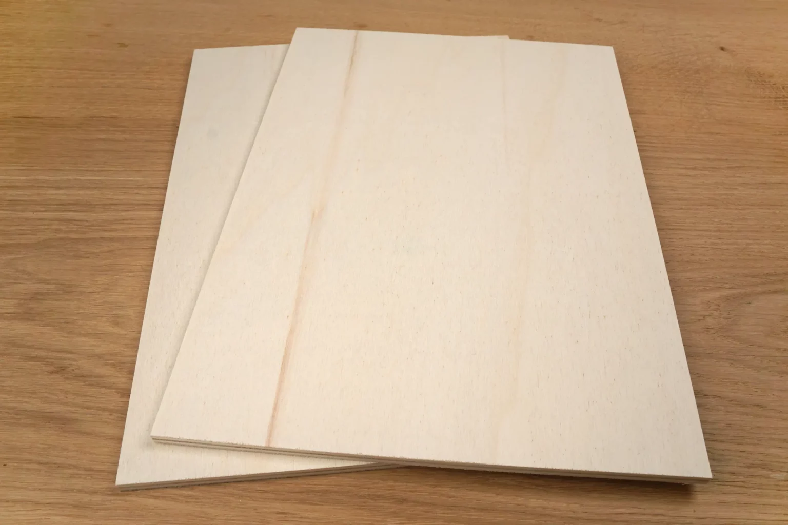 43-01-korallenriff-sommer-deko-laubsaege-dekupiersaege-vorlage-5-mm-sperrholz-bereitlegen