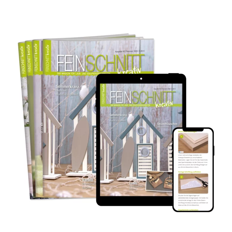 feinschnitt-kreativ-abo-kombi-43