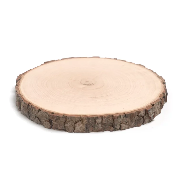 holzscheibe-rund