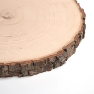 Baumscheibe aus Erle holzscheibe-rund-detailaufnahme