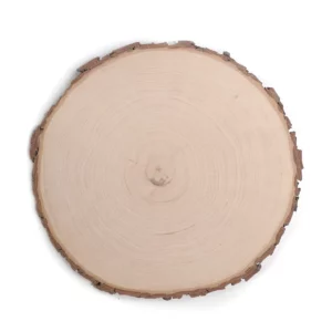 Baumscheibe aus Erle holzscheibe-rund-frontal-ansicht