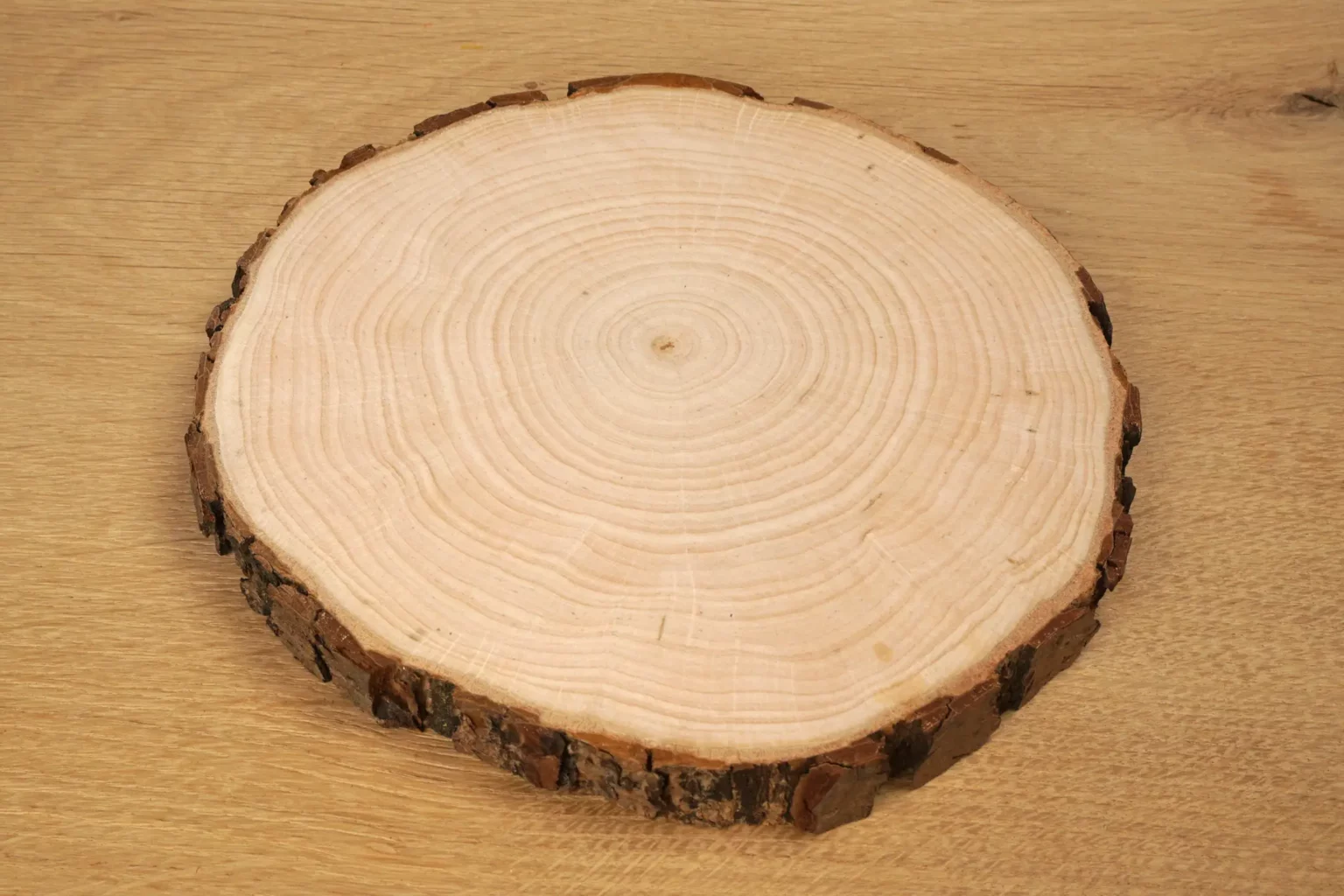 45-01-heilige-nacht-krippe-weihnachten-baumscheibe-laubsaege-dekupiersaege-vorlage-material