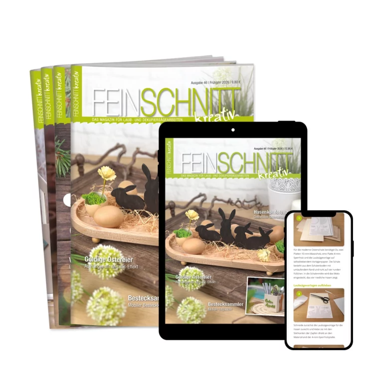 feinschnitt-kreativ-abo-kombi-46