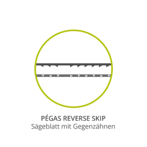 Pégas Skip Reverse Laubsägeblätter (Gros) pegas-laubsaegeblaetter-reverse-skip-ansicht-ueberarbeitet